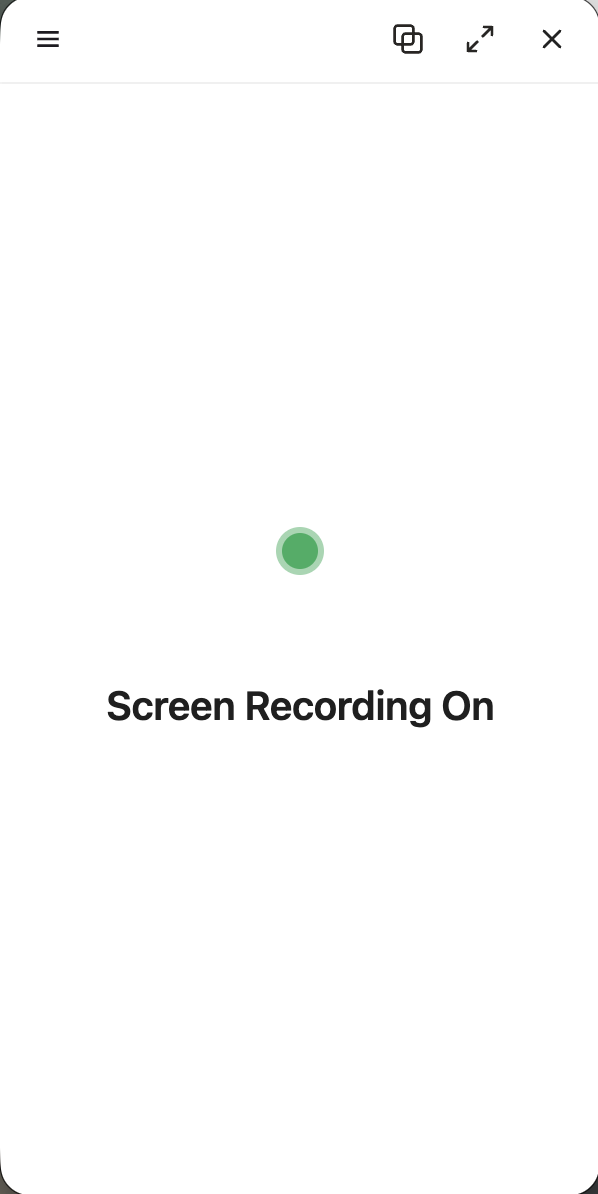 Recording on, Screen Recording only